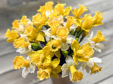 Kunstig påskeliljer af gummi og plast