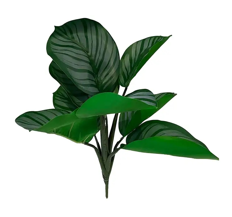 Calathea på stilk kunstig plante af plast i grøn 30cm