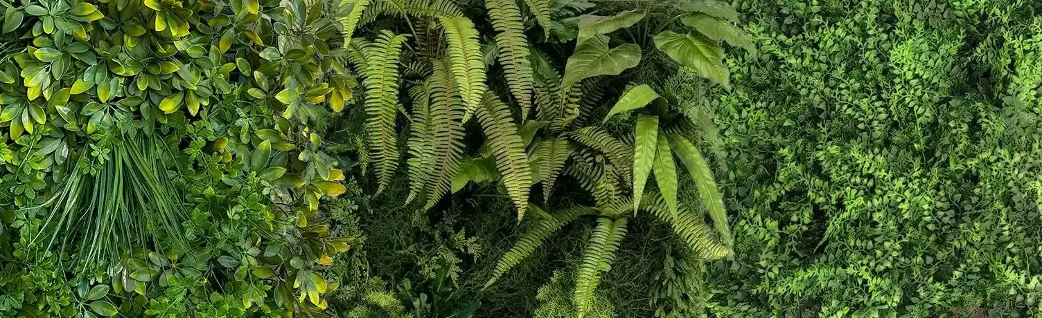 Brøndsholm - kunstige plantevægge