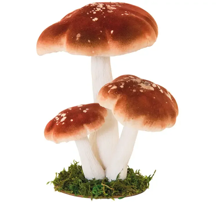 Kunstige brune svampe på græs