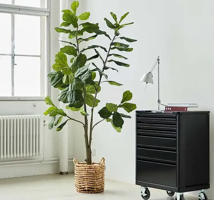 Figentræ i sort potte af plast kunstig plante vist i stuemiljø i flettet kurv