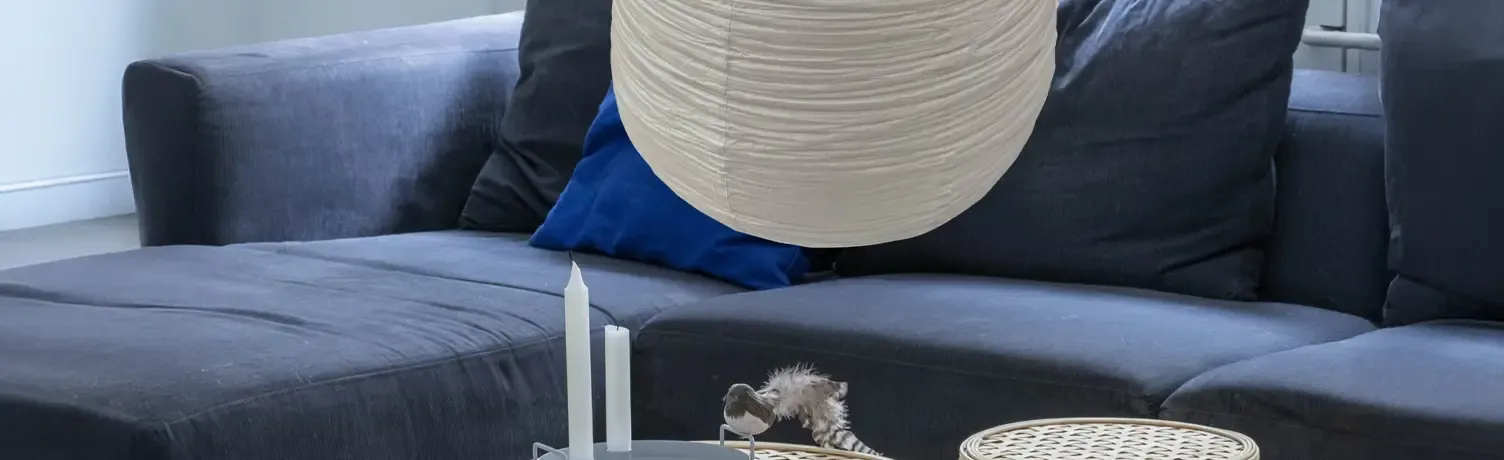 Rispapirs lampe i stue miljø
