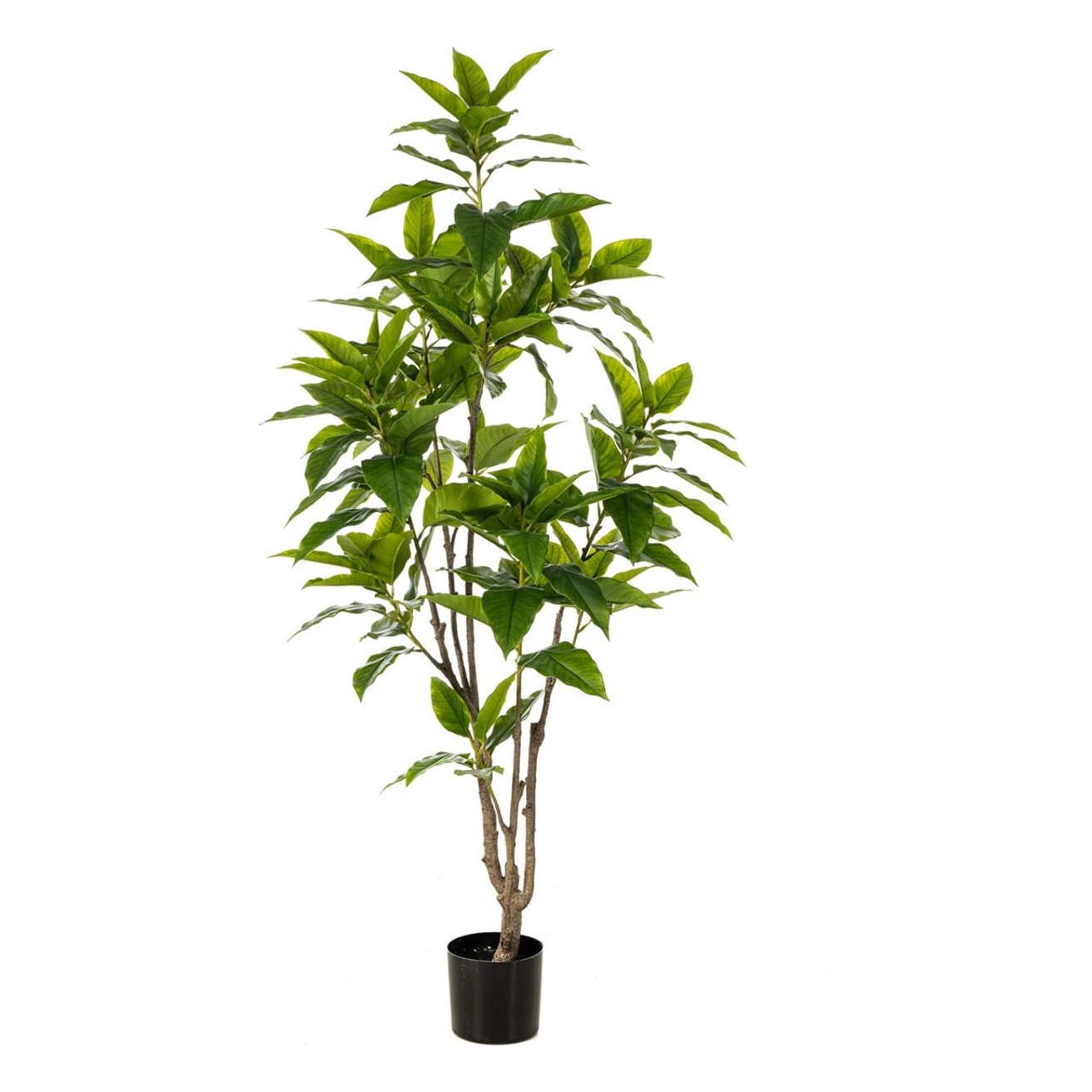 Langbladet figentræ i potte 180cm, kunstig plante - Brøndsholm
