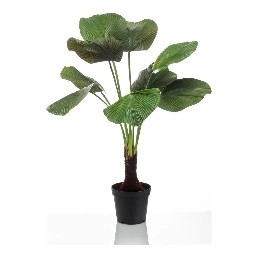 Licualapalme i potte, 130cm, kunstig plante - Brøndsholm