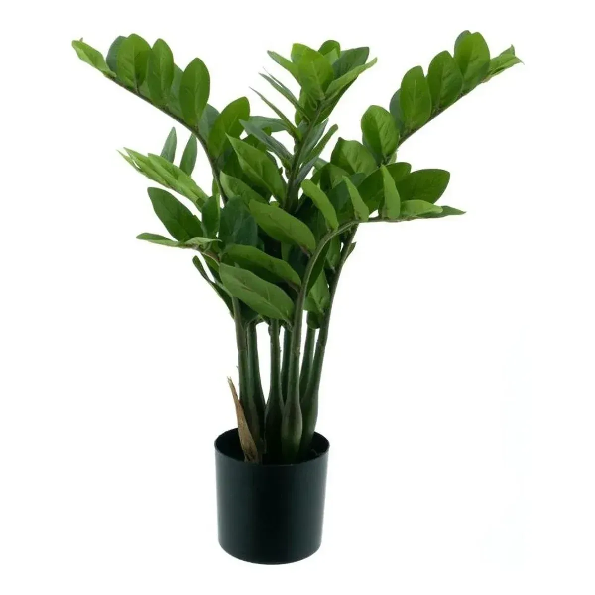 Lykkebregne i potte, 60cm, grøn, kunstig plante – Brøndsholm