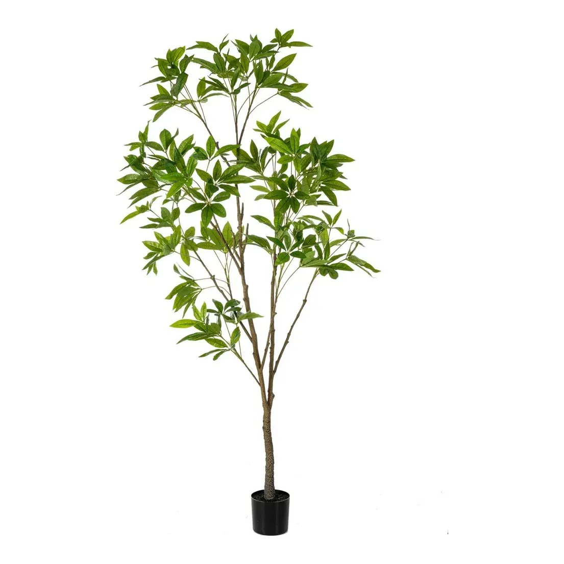 Lykkekastanje, 230cm, kunstig plante - Brøndsholm