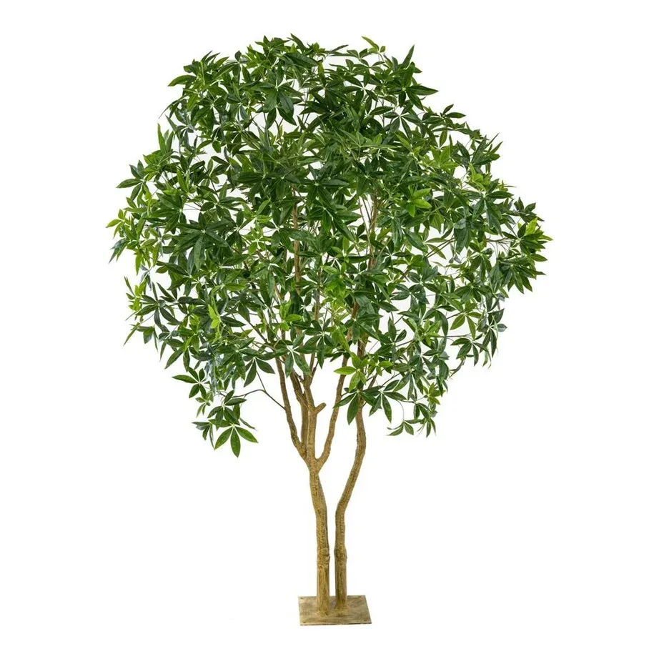 Lykkekastanje, multi-stamme, 285cm, kunstig plante - Brøndsholm