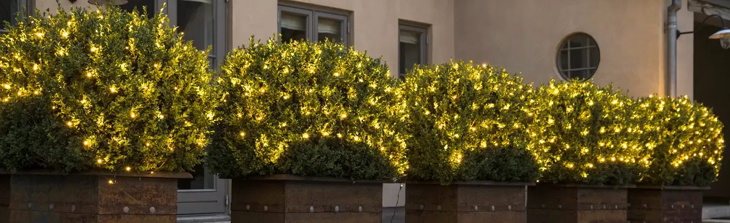 Lysnet lagt henover små buske på gårdsplads