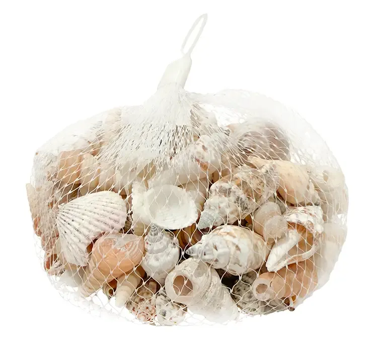 Strandskaller assorterede i net