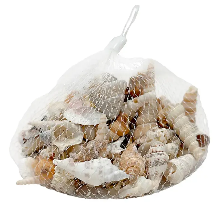 Strandskaller i net assorteret