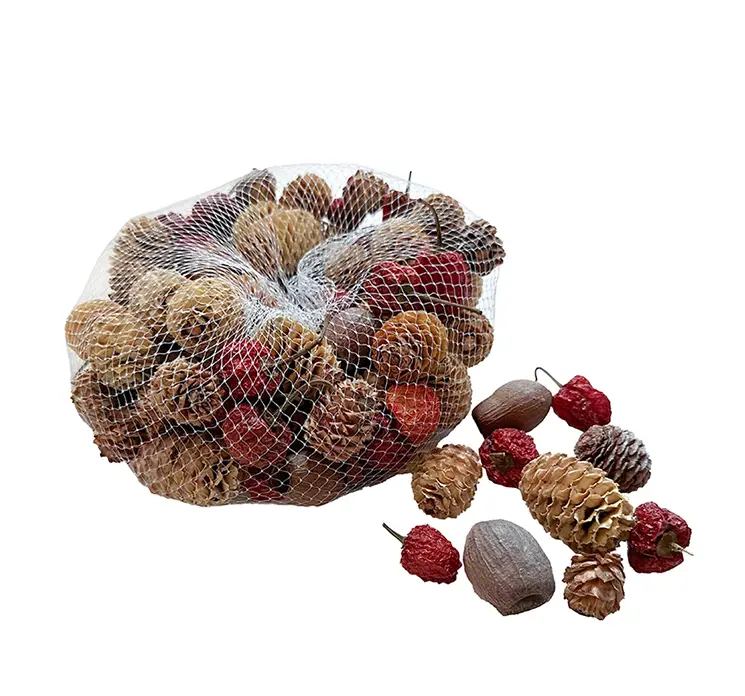Mix tørrede kogler, blomster mm, leuacadendron net med 500 g