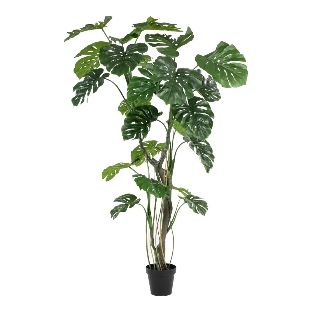Monstera m luftrødder, 210cm, kunstig plante - Brøndsholm
