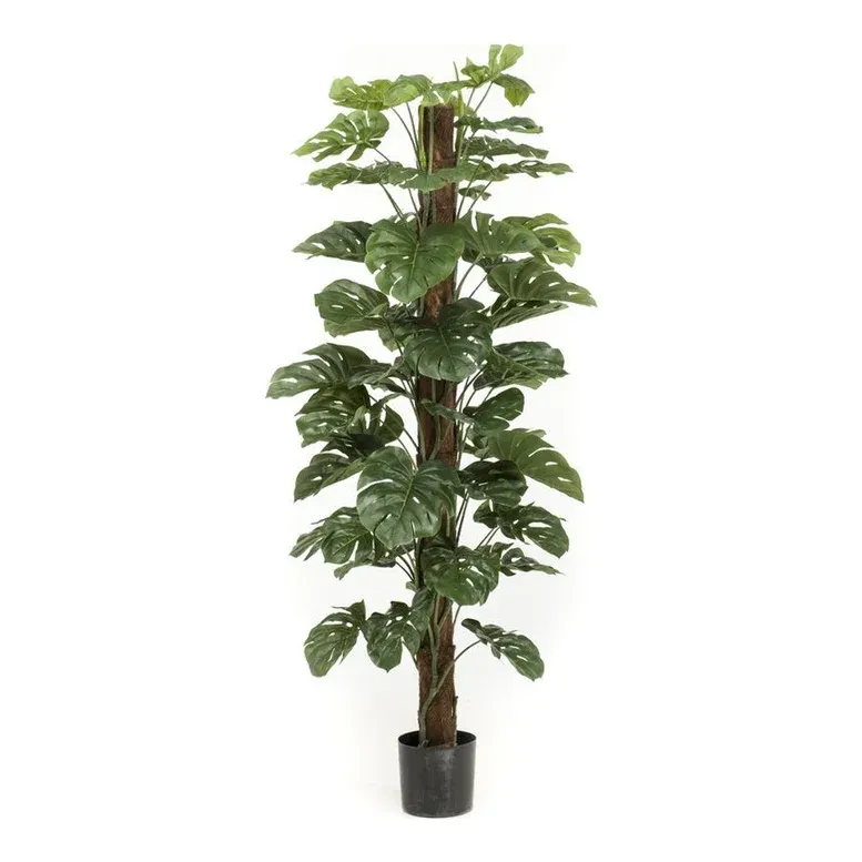 Kunstig monstera på støttepæl 180cm grøn - Brøndsholm