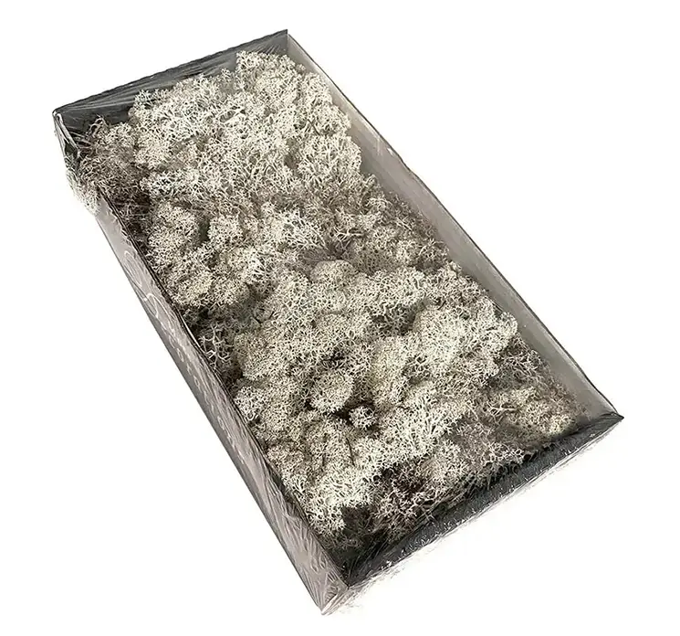 Mos ægte i hvid i kasse med 500g