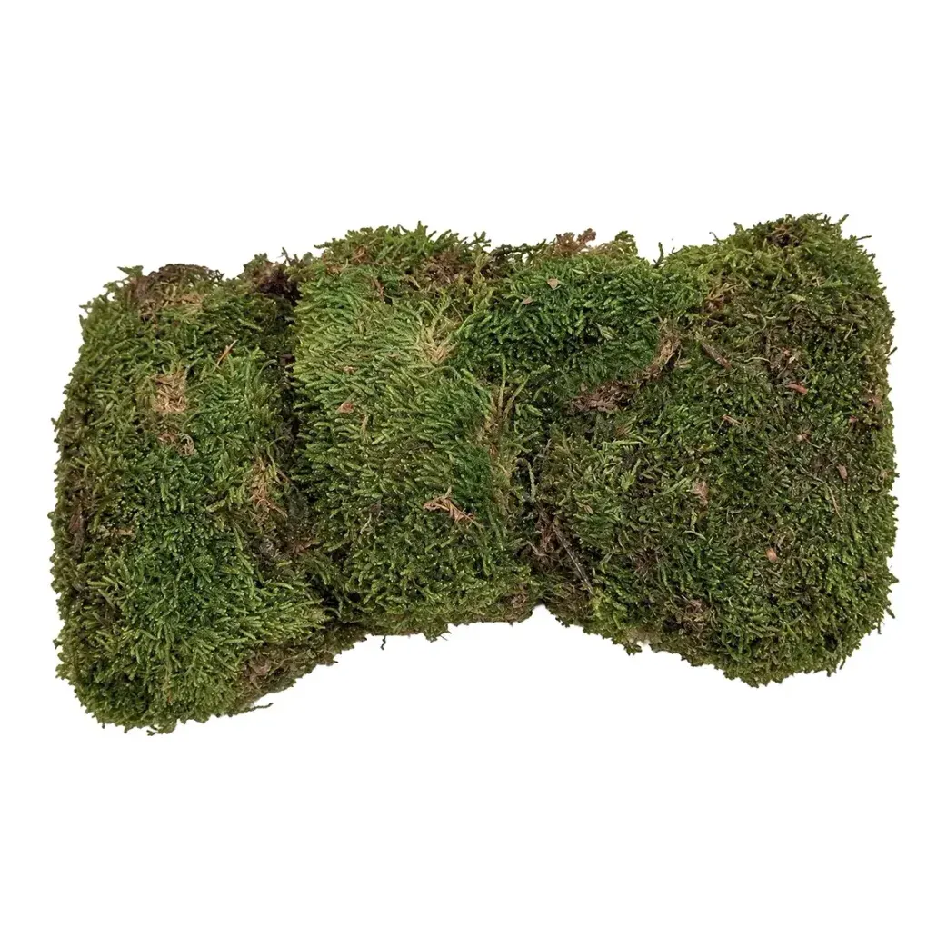 Mos ægte i naturfarvet grøn 100g