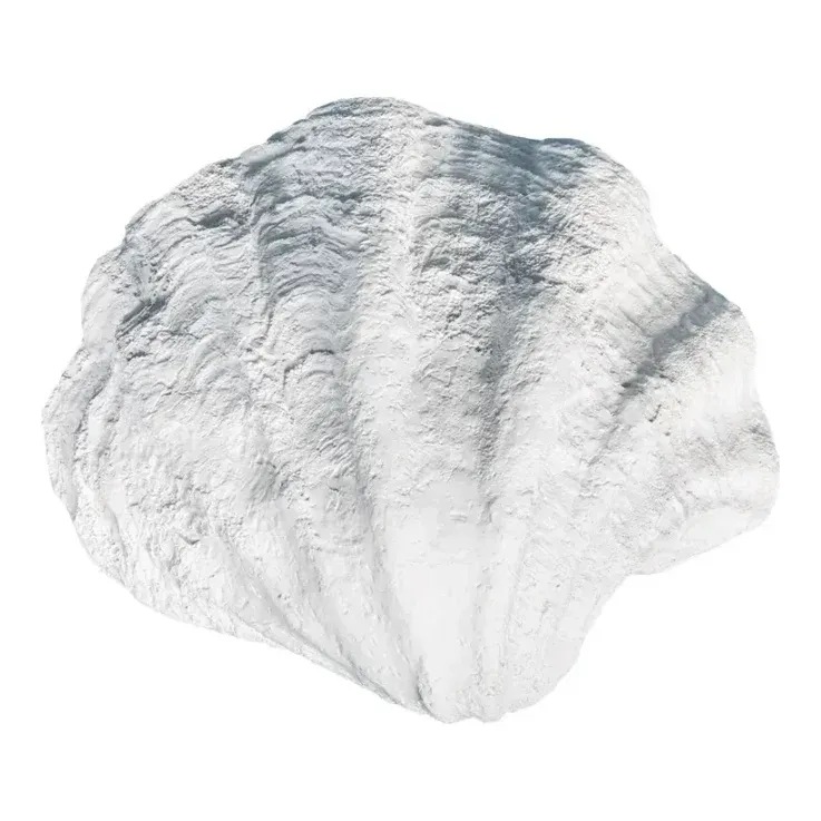 Muslingeskal, 25x30x8,5cm, havdyr – Brøndsholm