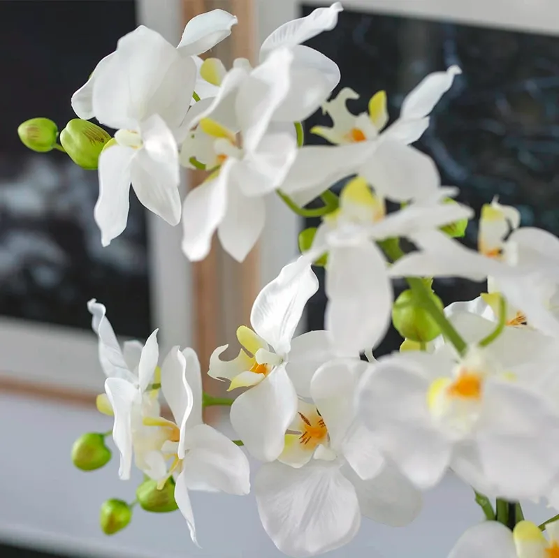 Flot kunstig orkide i hvid