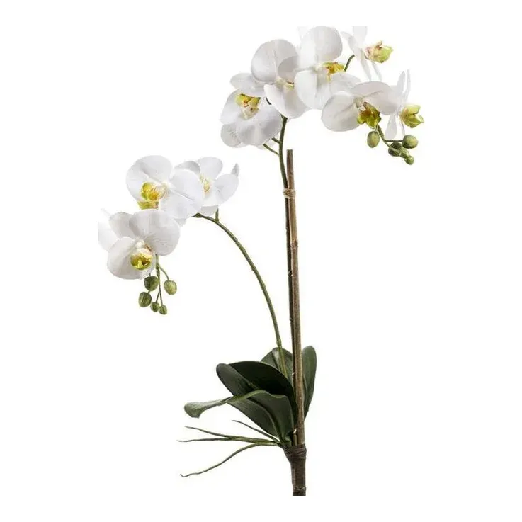 Kunstig Phalaenopsis orkidé, 65cm, hvid, real touch - Brøndsholm