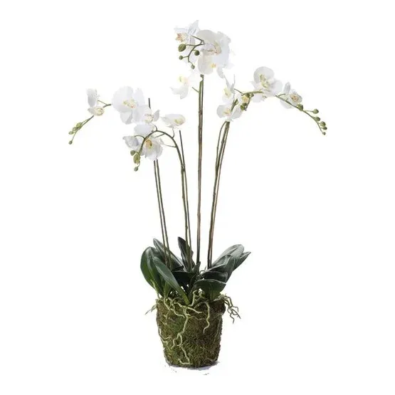 Kunstig hvid Phalaenopsis orkide i potte med mos, 90cm - Brøndsholm