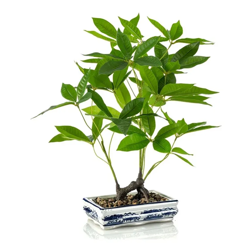 Pachira bonsai i keramikpotte, 62cm, kunstig plante – Brøndsholm