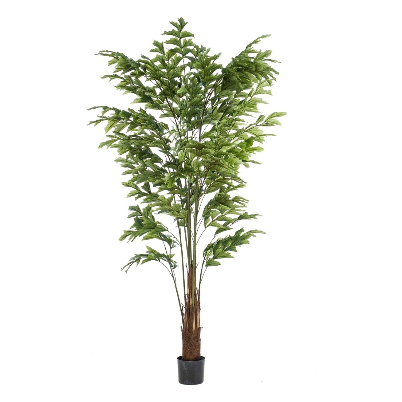 Palme, Caryota, 210cm, kunstig plante - Brøndsholm