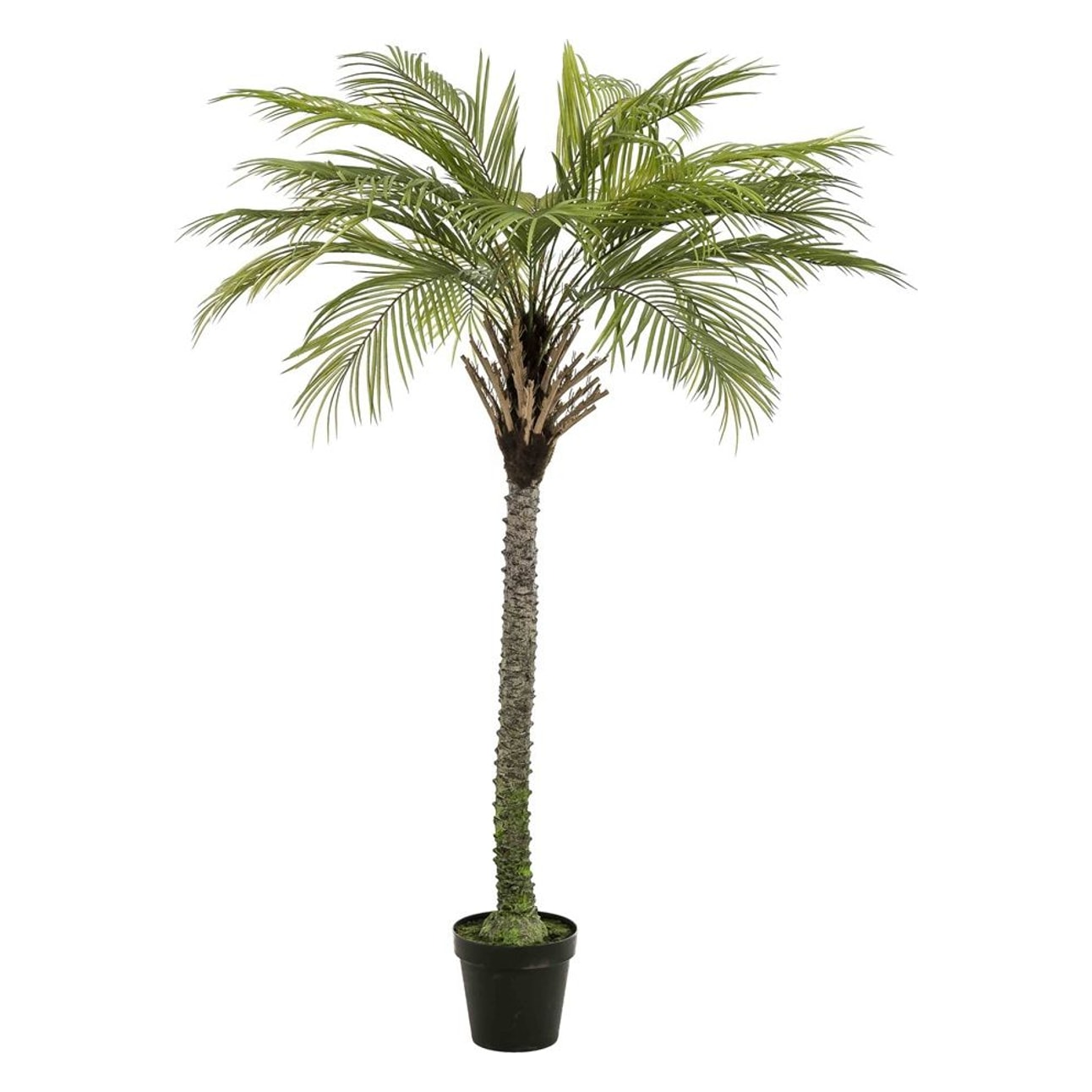Palme deluxe 180cm, kunstig plante - Brøndsholm