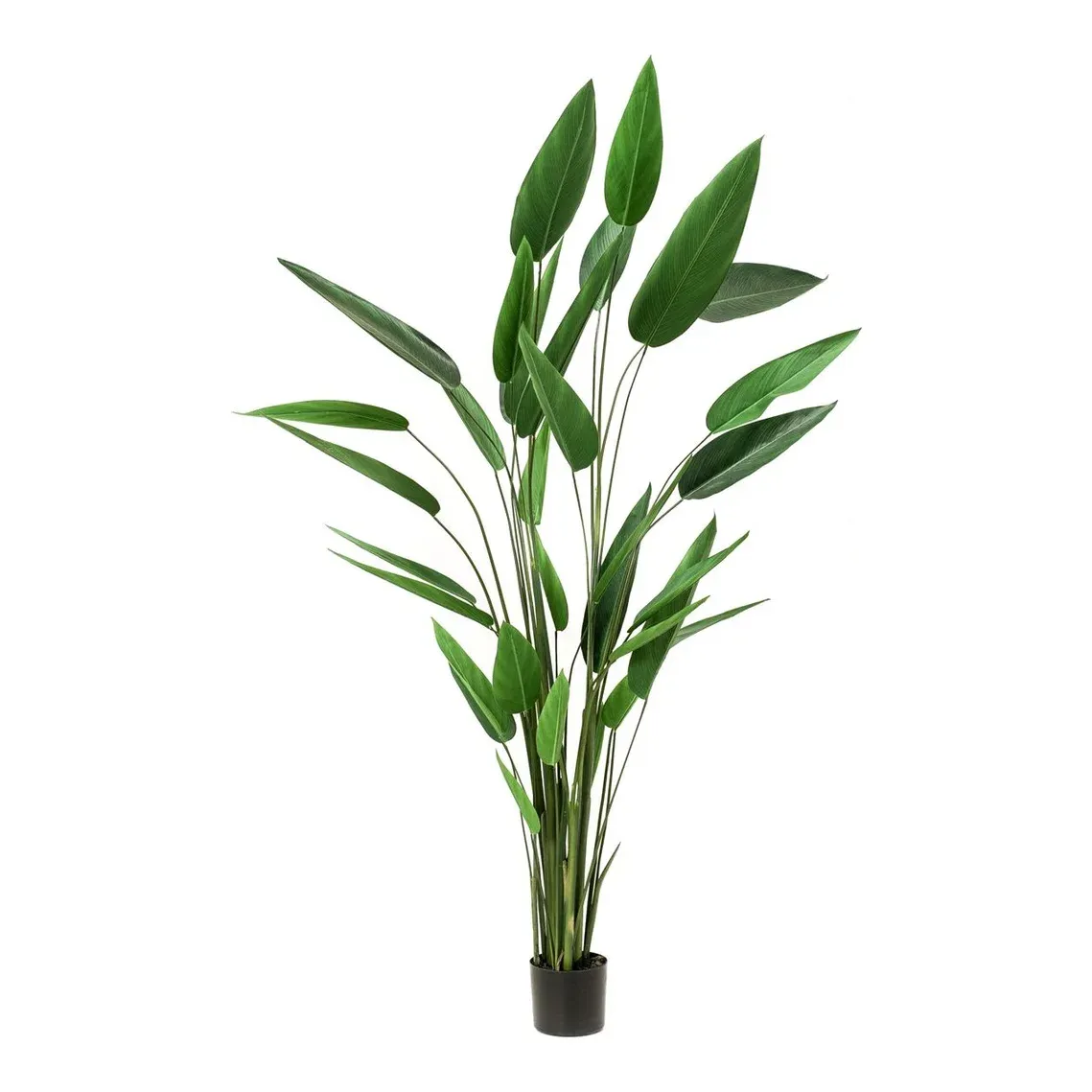 Kunstig papegøjenæb Heliconia 220cm grøn tropeagtig plante - Brøndsholm