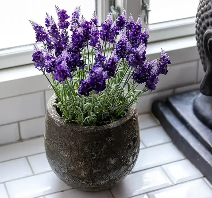 Kunstige lavendel blomster på stilk af plast i lilla sat i cement potte 
