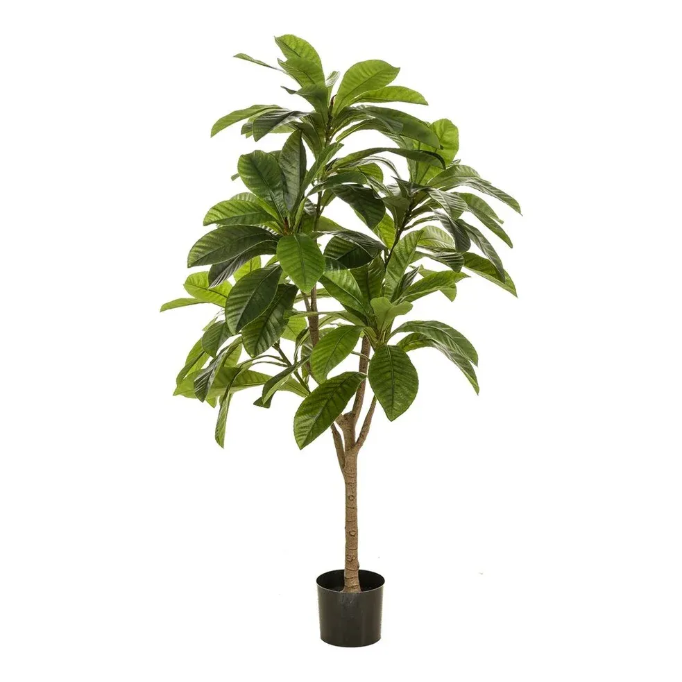 Plumeria træ, 5 grene, 145cm, kunstig plante - Brøndsholm
