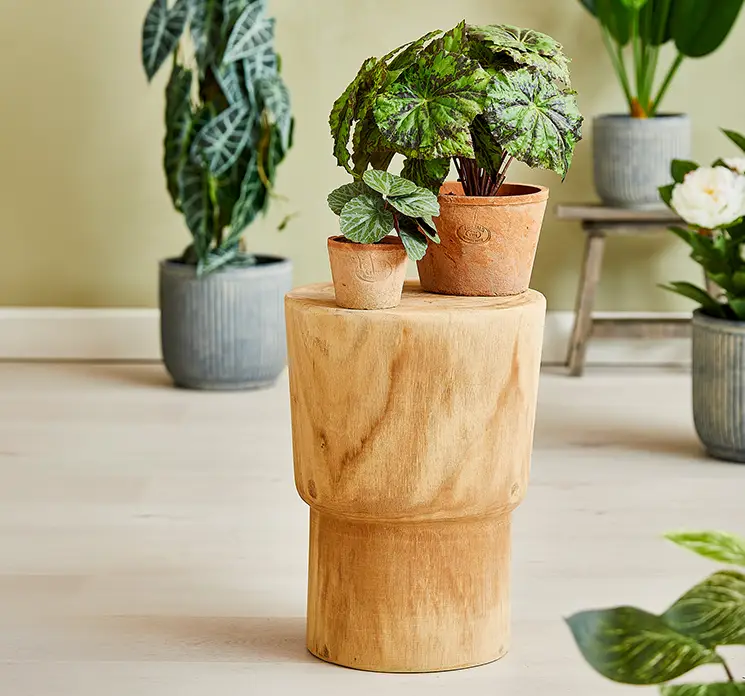 Sidebord af træ i naturfarvet 38cm vist i stuemiljø med kunstige planter