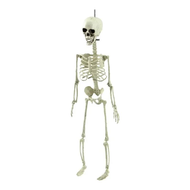 Skelet, 75x20cm, Halloween – Brøndsholm
