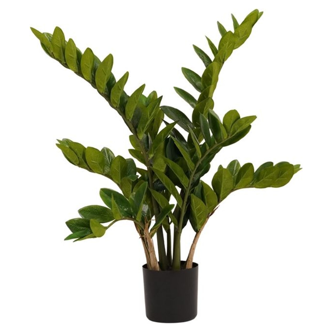 Smaragdblad Zamioculcas 70 cm, kunstig plante - Brøndsholm