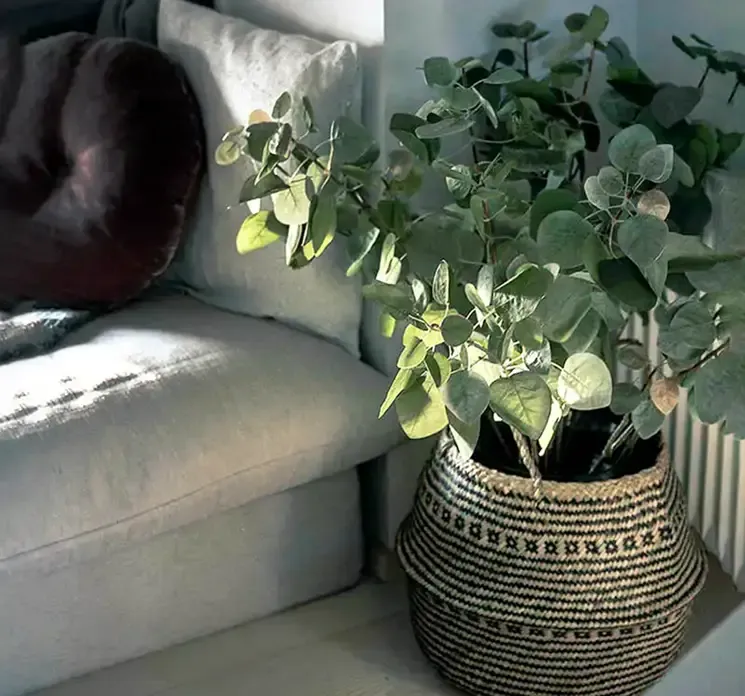 Kunstig paryk busk gren i grøn af plast vist i stuemiljø i en fletkurv