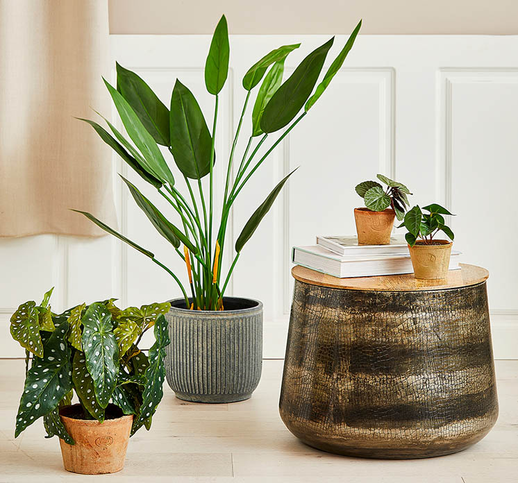 Kunstig strelitzia plante i sort potte af plast vist i stuemiljø med andre kunstige planter