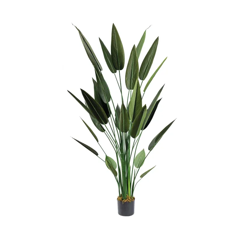Strelitzia i potte, 140cm, kunstig plante – Brøndsholm