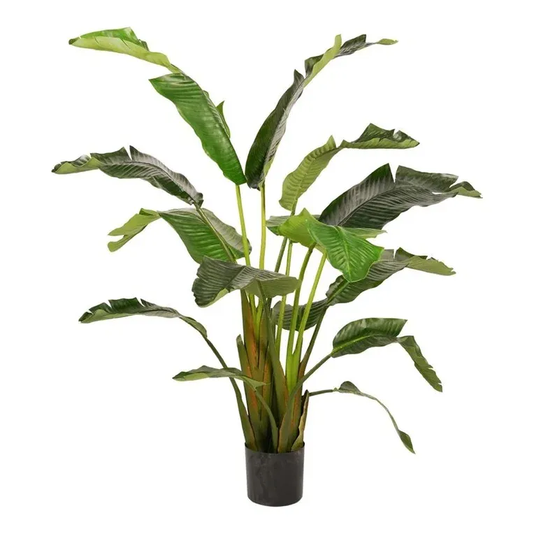 Kunstig Strelitzia i potte, 170cm, med store grønne blade – Brøndsholm