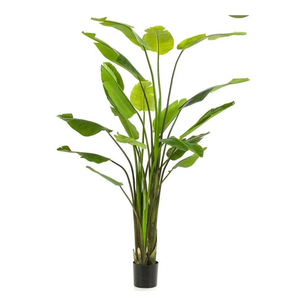 Kunstig Strelitzia nicolai i potte 235cm grøn – Brøndsholm