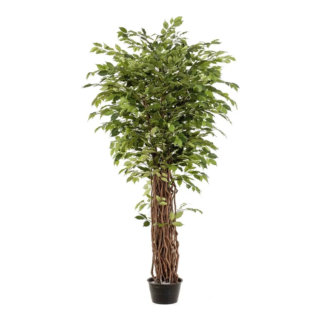 Stuebirk, 205cm, kunstig plante – Brøndsholm