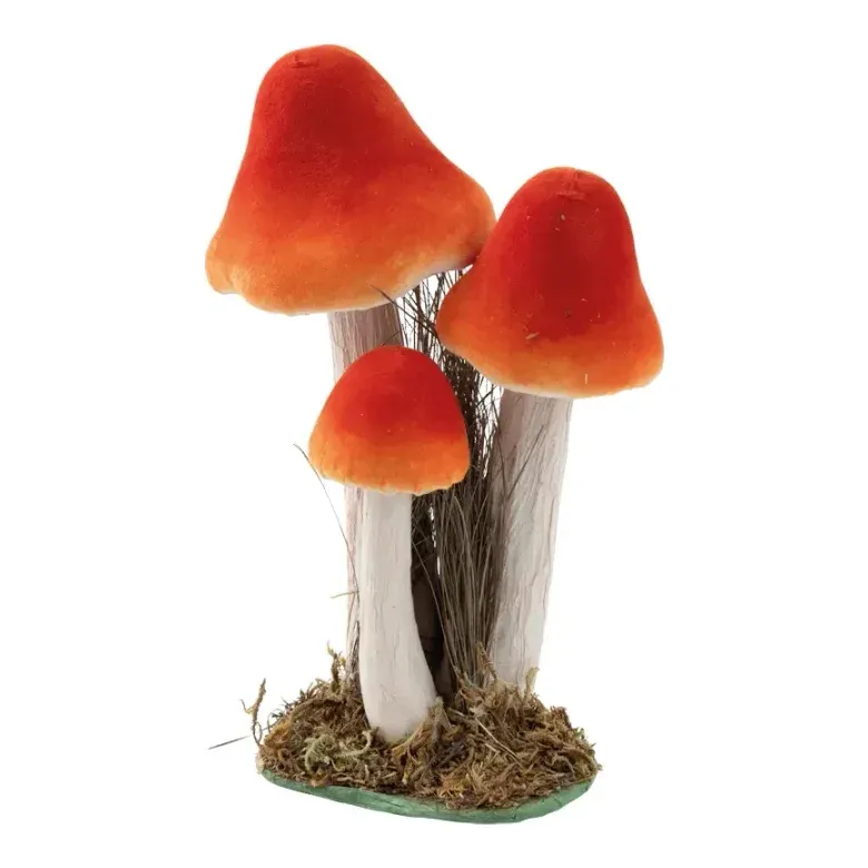 Svampegruppe, 28x18x15cm, pynt – Brøndsholm