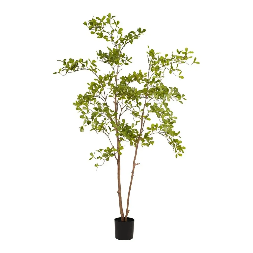 Terminalia træ, 205cm, kunstig plante – Brøndsholm