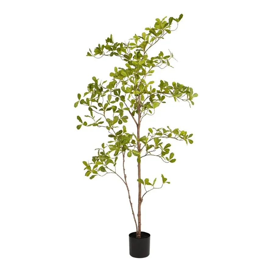 Terminalia træ i potte, 145cm, kunstig plante – Brøndsholm