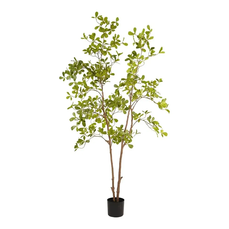 Terminalia træ i potte, 175cm, kunstig plante – Brøndsholm