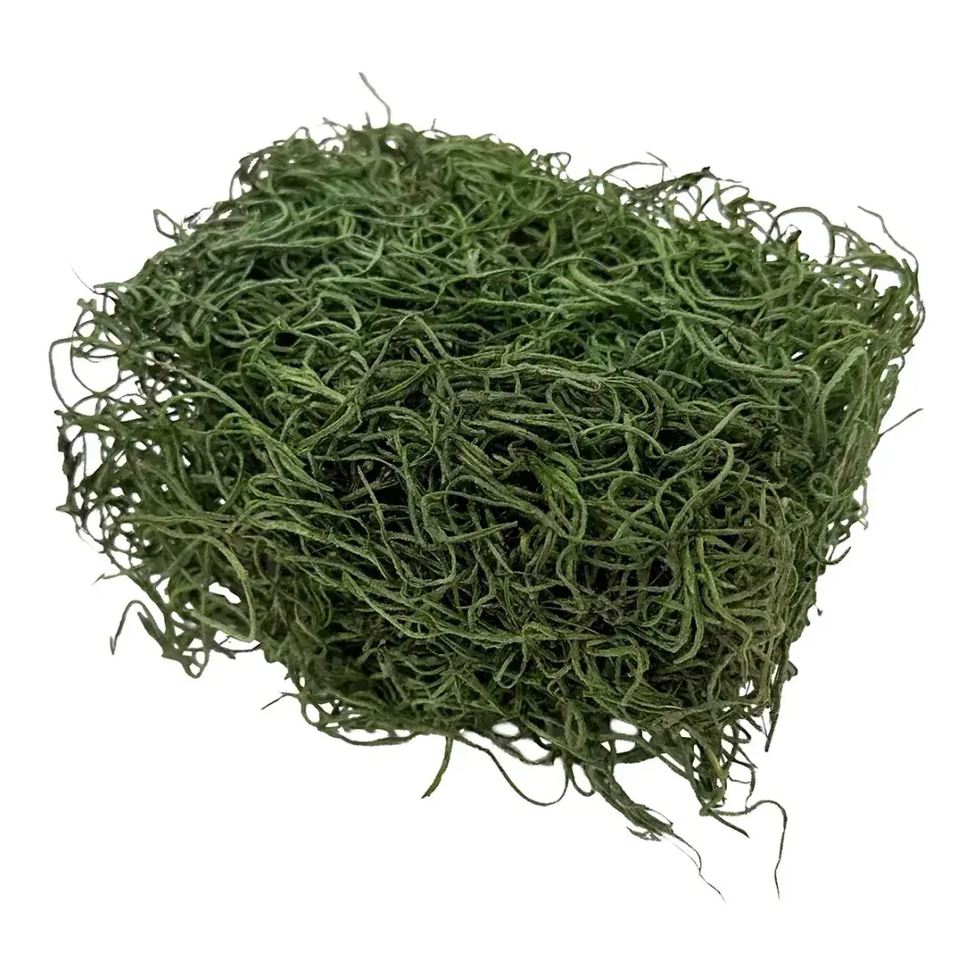 Tillandsia mos i æske ægte i grøn 30g