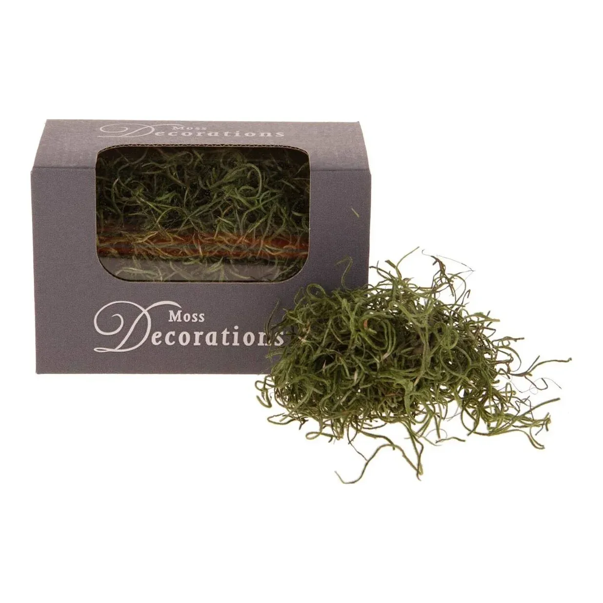Tillandsia-mos i æske 30g mosgrøn ægte mos – Brøndsholm