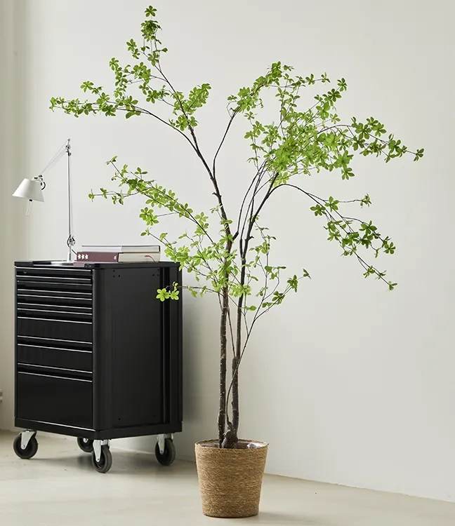 Brøndsholm - tropaeolum 210cm