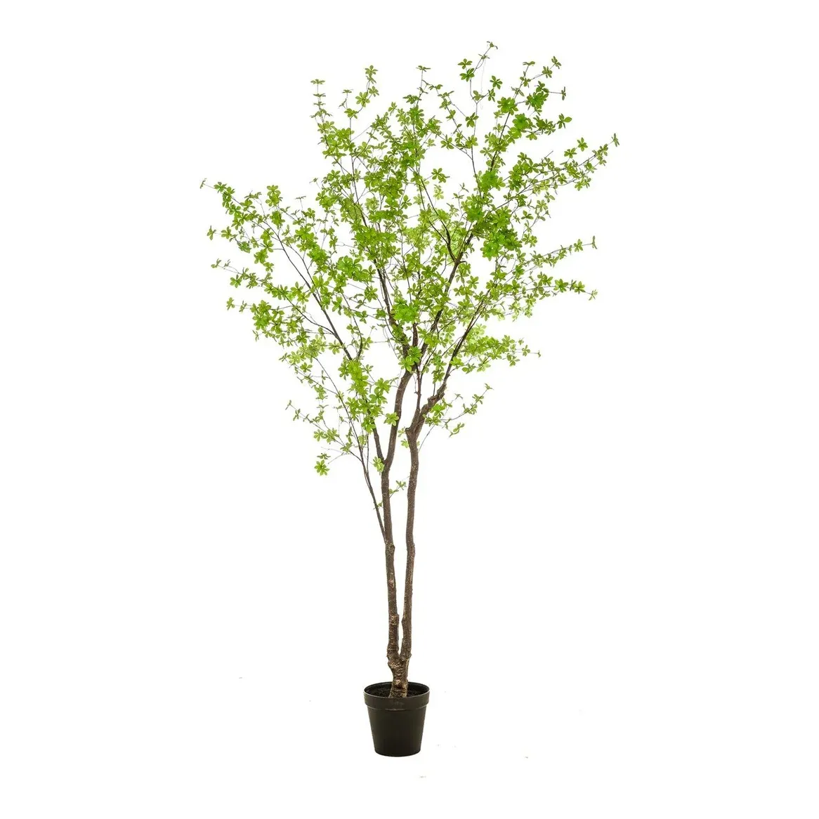 Tropæolum træ, 300cm, grøn, kunstig plante - Brøndsholm