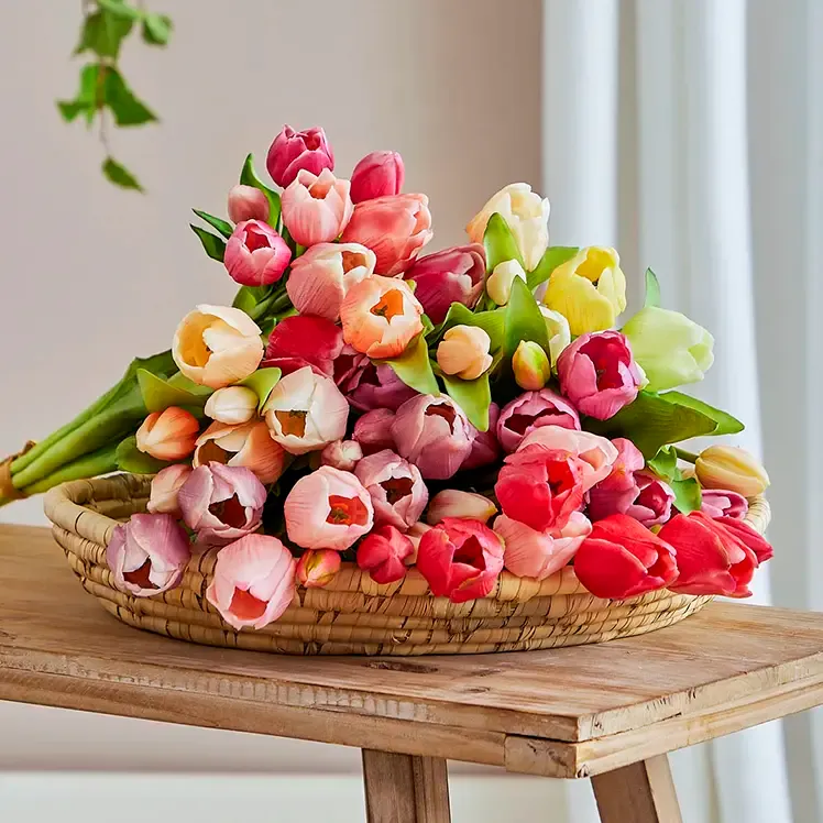 Brøndsholm - 30% på alle tulipaner