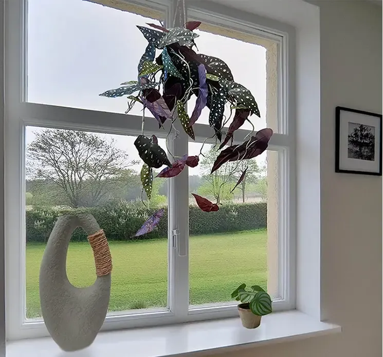 Kunstig begonia maculata hængeplante i grøn og bordeaux af plast vist i vindueskarm miljø