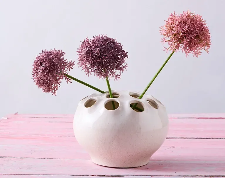 Allium