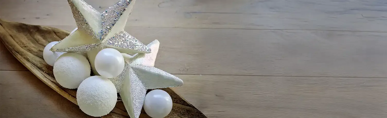 Brøndsholm - vinter